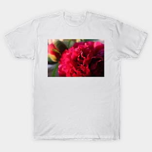 Flower Peony roses up close T-Shirt